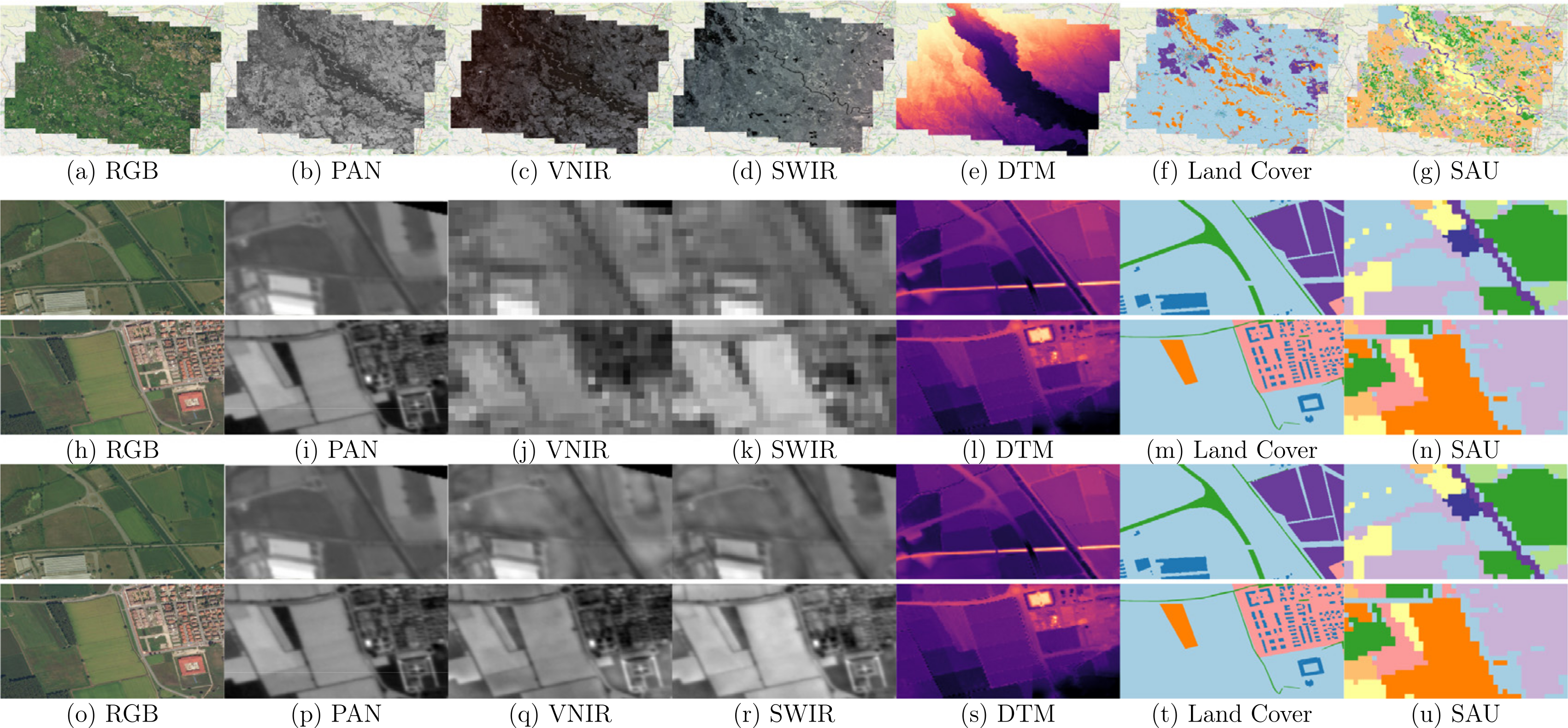 Dataset sample.
